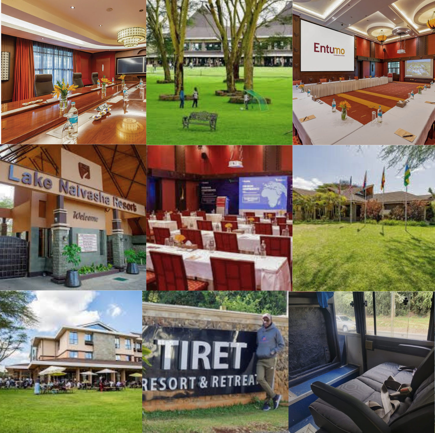 Event Planning, Venue Bookings, and Logistics